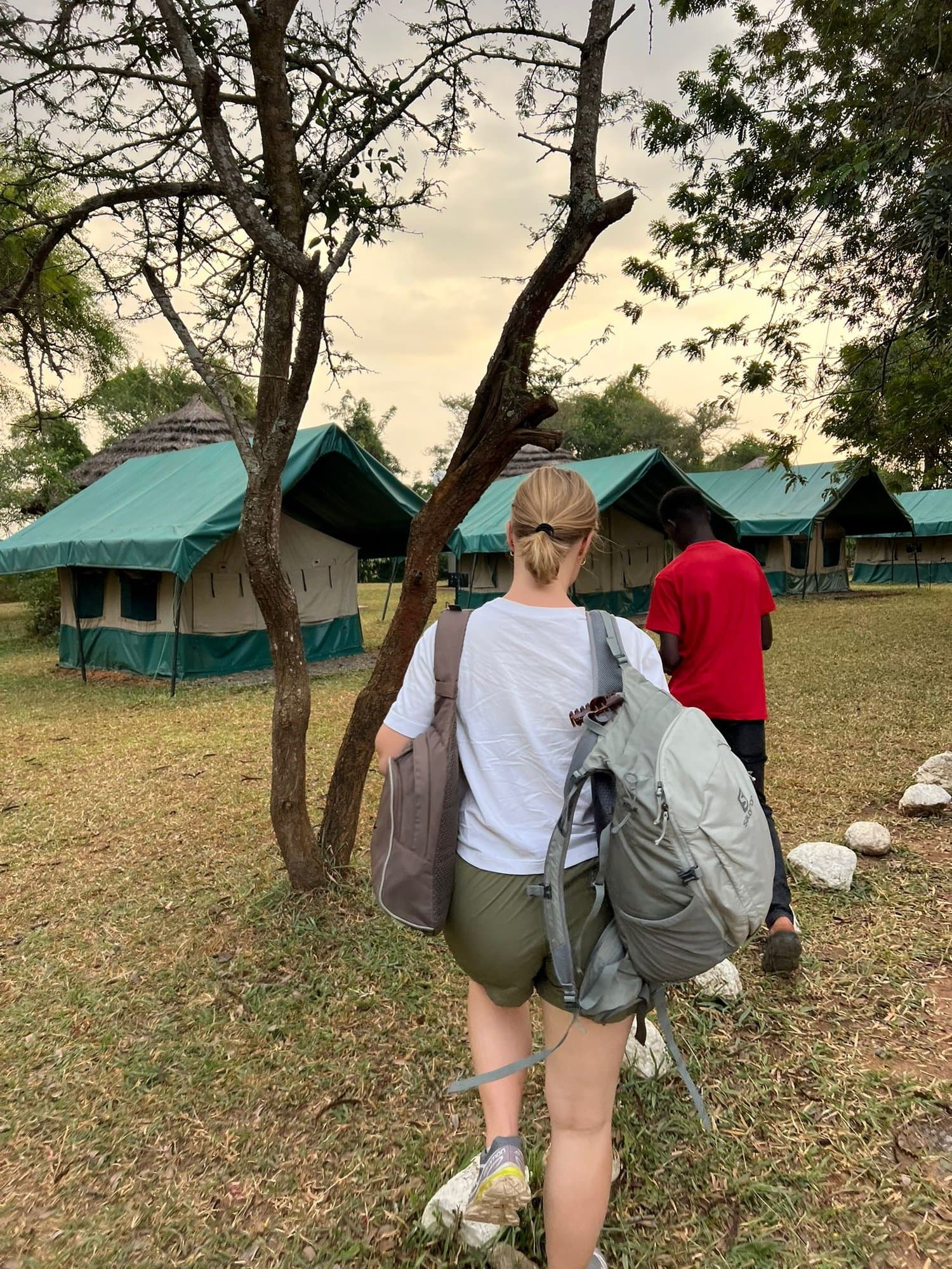 Guests arriving at canvas safari camp tents