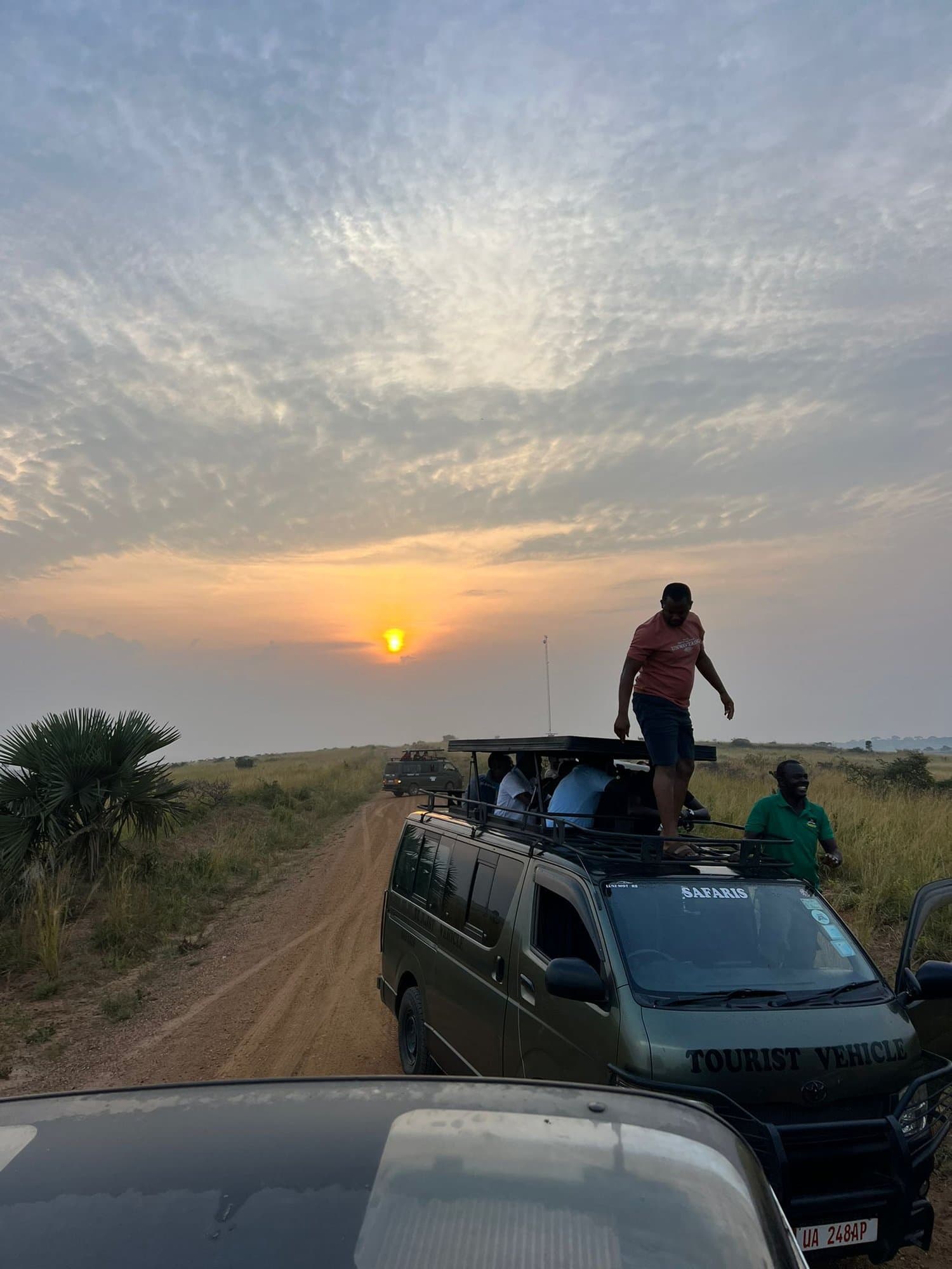 Sunset game drive with the safari vehicle on the track