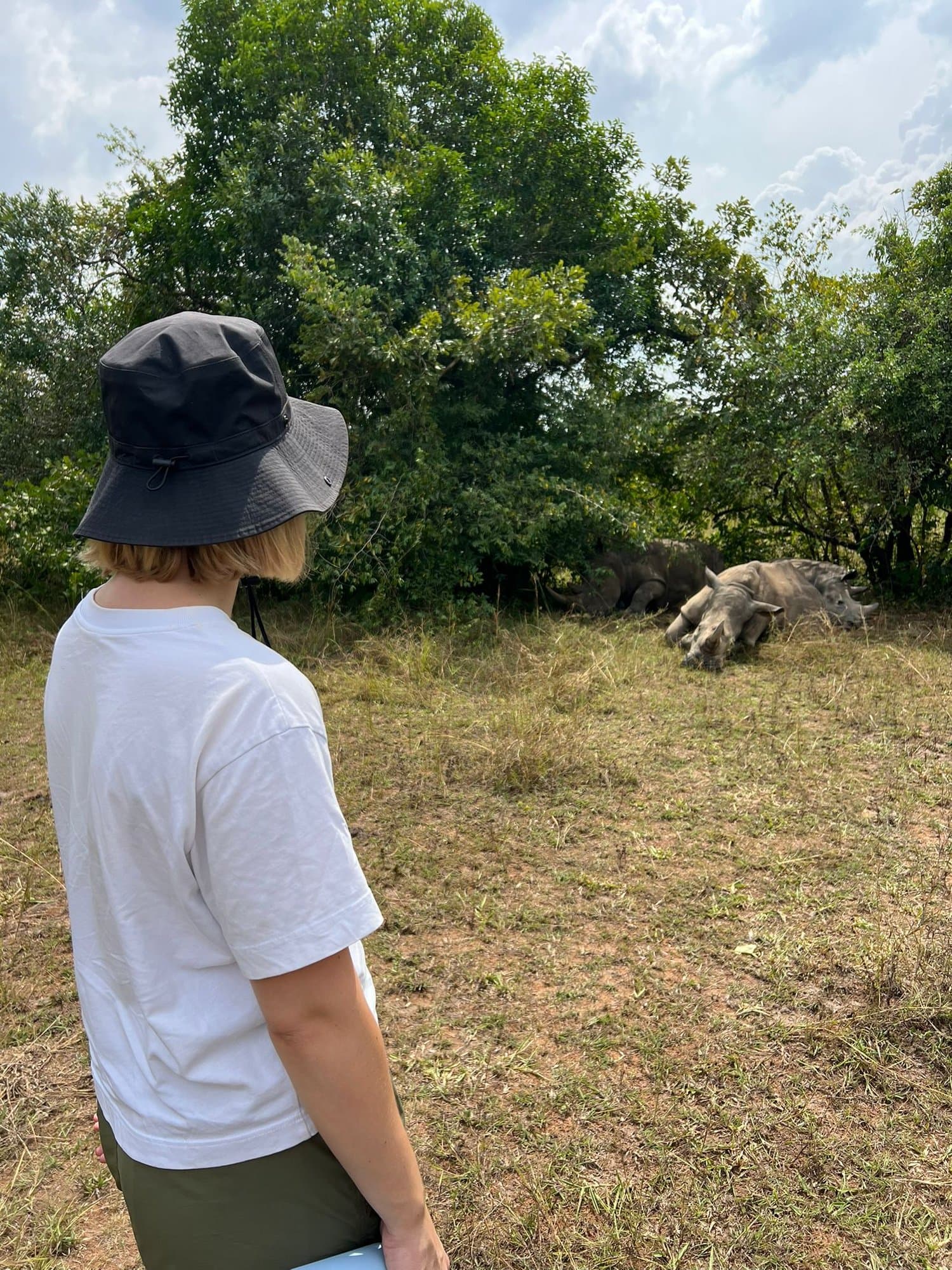 Quiet moment observing rhinos resting in the shade