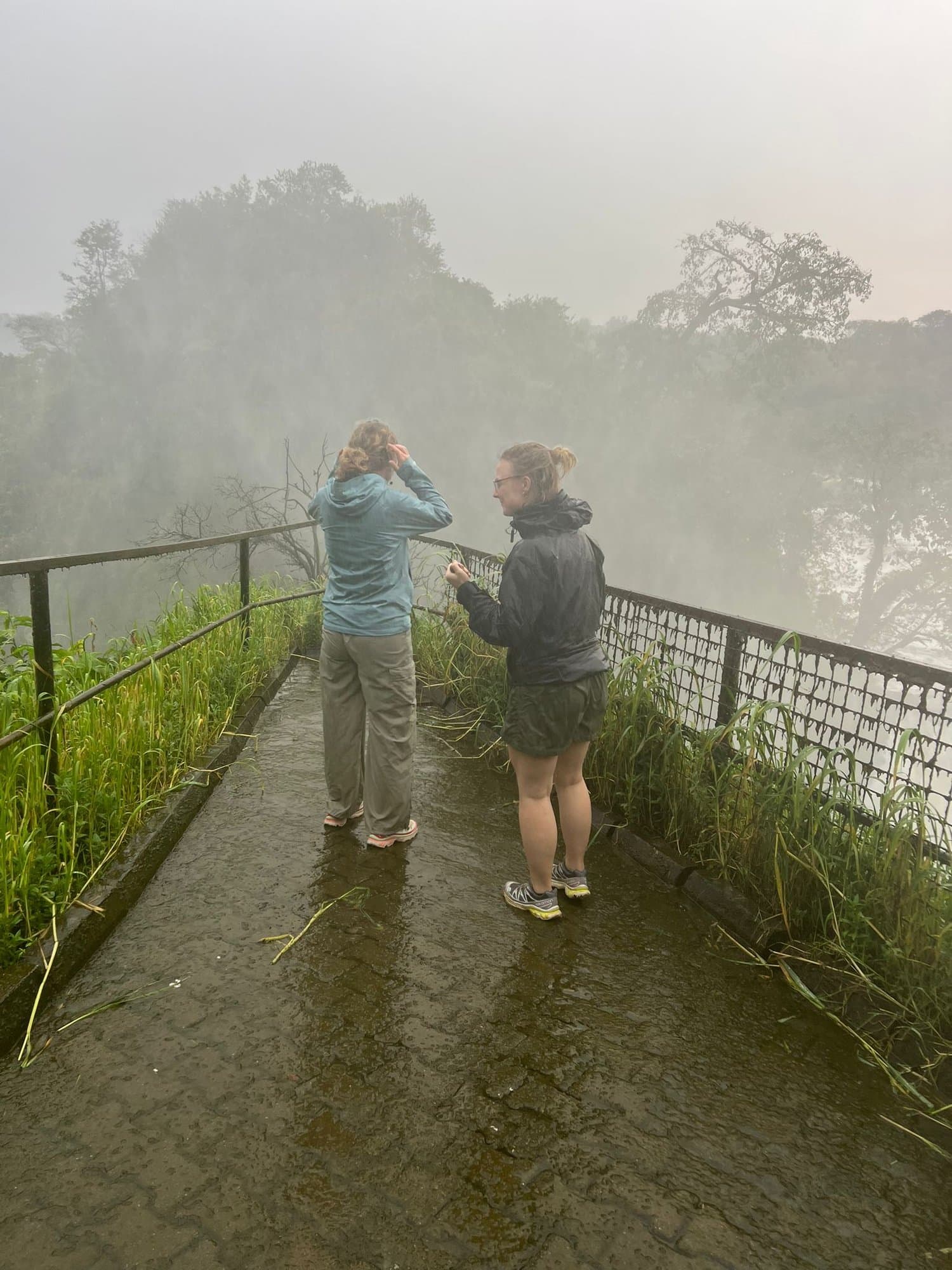 Guests taking in misty views from a scenic overlook
